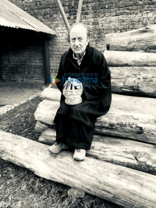 Movie Stills Of The Movie The Kashmir Files