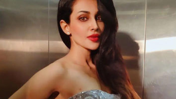 Stree actress Flora Saini to star in Varun Dhawan and Kriti Sanon starrer Bhediya?