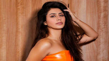 Celebrity Photos of Warina Hussain