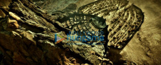 Movie Stills Of The Movie Shamshera