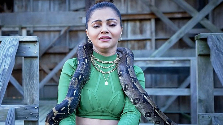 Khatron Ke Khiladi: Pratik Sehajpal, Mr Faisu, Rubina Dilaik, Jannat Zubair