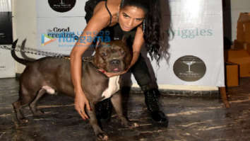 Photos: Celebrity pet parents grace the Petfluencer party