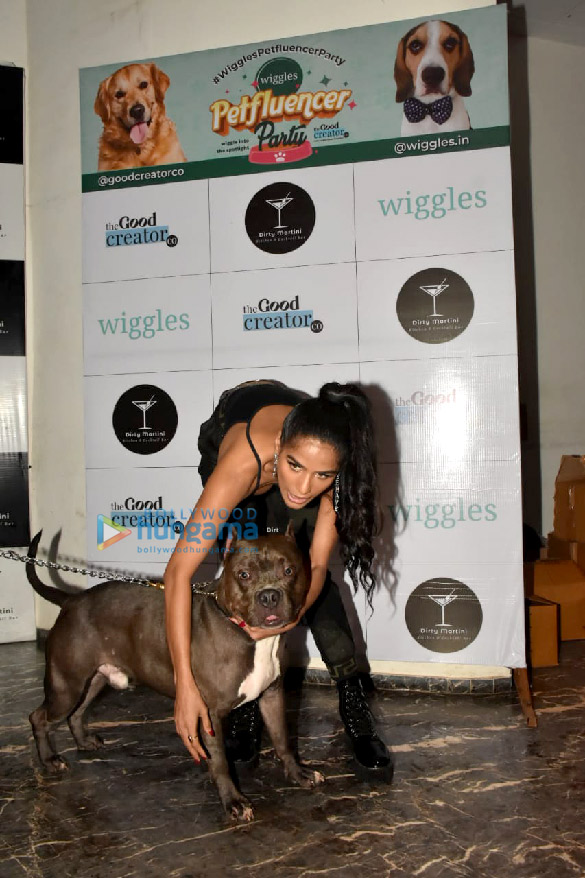 Photos: Celebrity pet parents grace the Petfluencer party