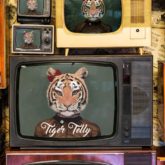 Zoya Akhtar and Reema Kagti's Tiger Baby diversifies into ad production: first project to feature cricket legends, deets inside 