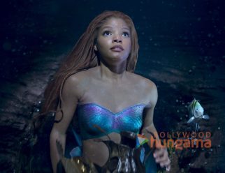 The Little Mermaid