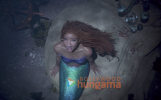The Little Mermaid