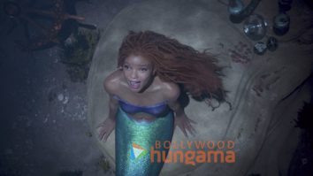 The Little Mermaid