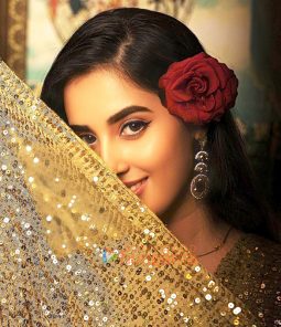 Celeb Photos Of Simratt Kaur Randhawa