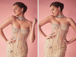 Tara Sutaria brings on the glam game to Apurva premiere in stunning sheer embellished bodycon gown Tara Sutaria brings on the glam game to Apurva premiere in stunning sheer embellished bodycon gown