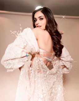 Celeb Photos Of Manushi Chhillar