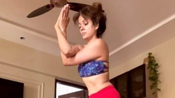 Vidya Malvade sets the bar high with her complex yoga pose