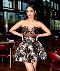 Celeb Photos Of Manushi Chhillar