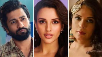 From Vicky Kaushal to Triptii Dimri to Richa Chadha: 8 actors that dominated the screen despite brief roles