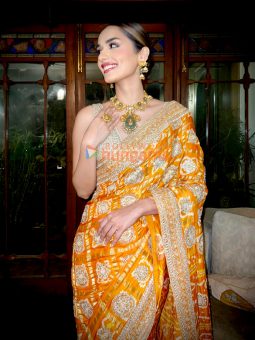 Manushi Chhillar