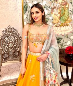 Manushi Chhillar