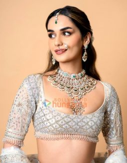 Manushi Chhillar