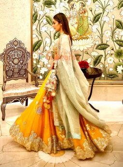 Manushi Chhillar