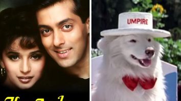 30 years of HAHK: Two dogs played the pet Tuffy in the Salman Khan-Madhuri Dixit starrer