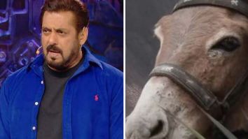 Bigg Boss 18: Gadharaj aka the donkey has been removed from the Salman Khan hosted show followed by PETA’s allegations