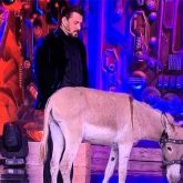 Bigg Boss 18: PETA requests Salman Khan’s intervention over donkey in the controversial house